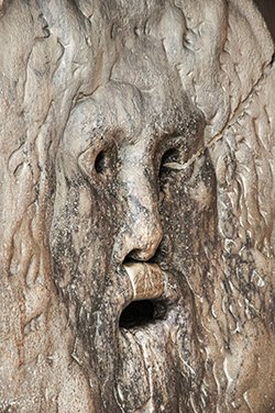surprised face in tree bark texture
